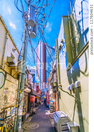 八月的日本東京城市景觀。三軒茶屋車站旁的酒吧區「三茶第三大道」(三軒茶屋三角區)的景色。 八月的日本東京城市景觀。三軒茶屋車站旁的酒吧區「三茶第三大道」(三軒茶屋三角區)的景色。 117604631