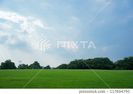 Blue sky and prairie 117604795
