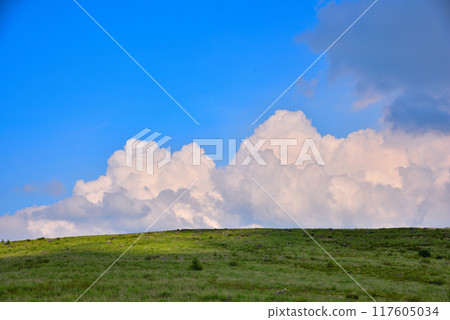 <Nagano Prefecture> Venus Line in Summer: Kirigamine Plateau and Cumulonimbus Clouds <Nagano Prefecture> Venus Line in Summer: Kirigamine Plateau and Cumulonimbus Clouds 117605034
