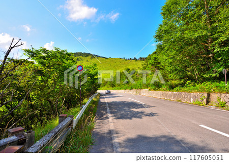 [長野縣] 屋島濕地附近的夏季金星線 117605051