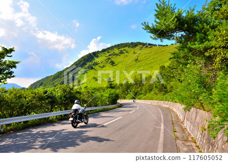 [長野縣] 屋島濕地附近的夏季金星線 117605052