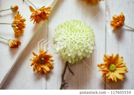 Top view of flowers Top view of flowers 117605559