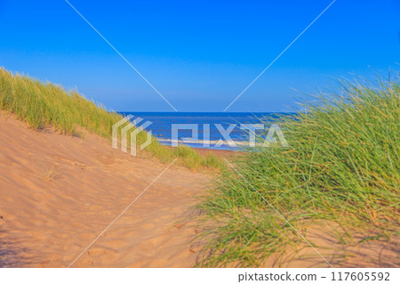 Picture of a deserted beach with dunes in Scotland during the day 117605592