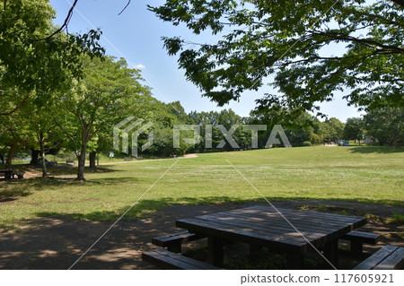 茅崎里山公園風景 117605921
