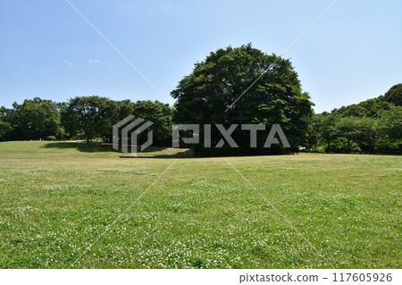 Scenery of Chigasaki Satoyama Park Scenery of Chigasaki Satoyama Park 117605926