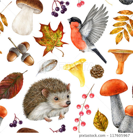 Cute hedgehog with autumn forest nature elements seamless pattern. Watercolor illustration. Hand drawn forest animals, birds, mushrooms, autumn leaves seamless pattern design for printing, wrapping Cute hedgehog with autumn forest nature elements seamless pattern. Watercolor illustration. Hand drawn forest animals, birds, mushrooms, autumn leaves seamless pattern design for printing, wrapping 117605967