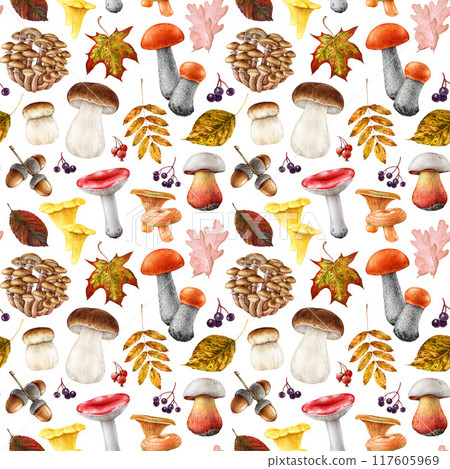 Autumn forest mushrooms with fallen tree leaves seamless pattern in warm colors. Watercolor vintage style illustration. Hand drawn edible mushroom elements with autumn dry leaves on white background Autumn forest mushrooms with fallen tree leaves seamless pattern in warm colors. Watercolor vintage style illustration. Hand drawn edible mushroom elements with autumn dry leaves on white background 117605969