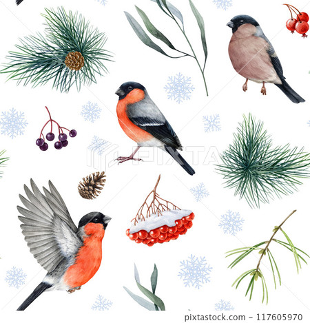 Winter time bullfinch birds seamless pattern, natural elements, pine branches, rowanberry snow covered. Watercolor illustration forest bullfinch bird, berries, snowflakes pattern on white background 117605970