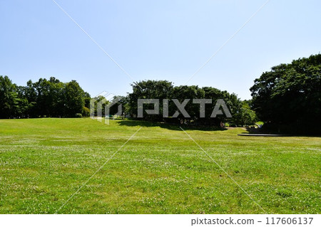 茅崎里山公園風景 茅崎里山公園風景 117606137