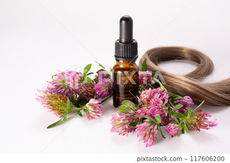 Clover flowers, essential oil and hair. Hair treatment concept. Close up. Copy space Clover flowers, essential oil and hair. Hair treatment concept. Close up. Copy space 117606200