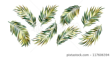 Set Gold Green Realistic Tropical Palm Leaves. Vector Illustration Set Gold Green Realistic Tropical Palm Leaves. Vector Illustration 117606394