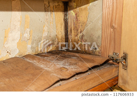 The wallpaper inside the built-in storage unit is peeling and moldy due to a leak in the roof. 117606933