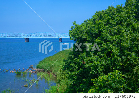 Taihei Bridge over the Agano River, Gourmet Train, Kairi, Train Window, Niigata City Taihei Bridge over the Agano River, Gourmet Train, Kairi, Train Window, Niigata City 117606972