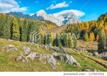 Stunning view of mountains and valleys with larch forest and wonderful sky are located in Filzmoos Stunning view of mountains and valleys with larch forest and wonderful sky are located in Filzmoos 117607092