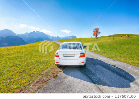 Amazing view of Alpine green fields near Abtenau village at autumn sunny day Amazing view of Alpine green fields near Abtenau village at autumn sunny day 117607100