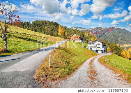 Captivating view of Alpine green fields and traditional wooden houses near St. Martin am Tennengebirge. Captivating view of Alpine green fields and traditional wooden houses near St. Martin am Tennengebirge. 117607103