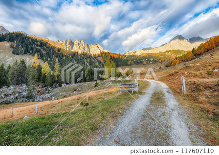 Astonishing view of mountains and valleys with larch forest and wonderful sky are located in Filzmoos 117607110