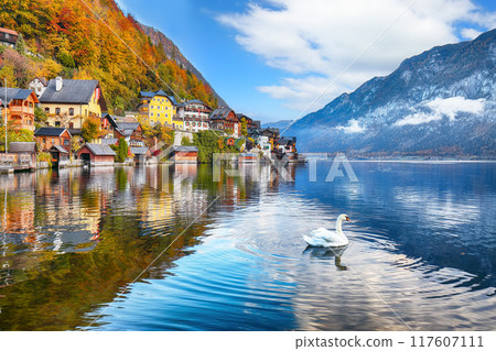 Amazing view of famous Hallstatt mountain village with Hallstatter lake. Amazing view of famous Hallstatt mountain village with Hallstatter lake. 117607111