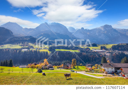 Captivating view of Alpine green fields and traditional wooden houses near Abtenau village at autumn sunny day. Captivating view of Alpine green fields and traditional wooden houses near Abtenau village at autumn sunny day. 117607114