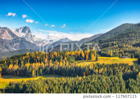 Fabulous view of Alpine green fields and mountains near St. Martin am Tennengebirge. Fabulous view of Alpine green fields and mountains near St. Martin am Tennengebirge. 117607115