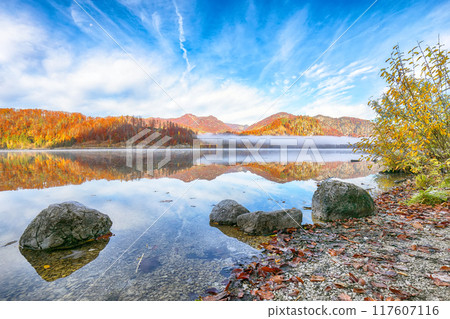 Captivating autumn scene of foggy and sunny morning on Almsee lake. Captivating autumn scene of foggy and sunny morning on Almsee lake. 117607116