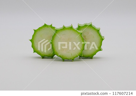 Stock photo of Hechioku: Ten-sided Thread Melon, a vegetable thought to be a cross between a loofah and an okra 117607214
