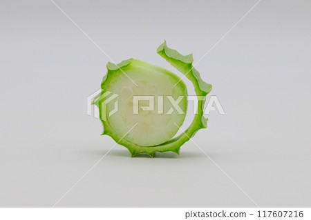 Stock photo of Hechioku: Ten-sided Thread Melon, a vegetable thought to be a cross between a loofah and an okra Stock photo of Hechioku: Ten-sided Thread Melon, a vegetable thought to be a cross between a loofah and an okra 117607216