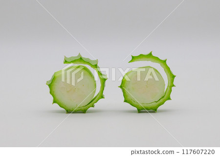 Stock photo of Hechioku: Ten-sided Thread Melon, a vegetable thought to be a cross between a loofah and an okra Stock photo of Hechioku: Ten-sided Thread Melon, a vegetable thought to be a cross between a loofah and an okra 117607220