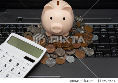 Pig money box with coins on a laptop 117607623