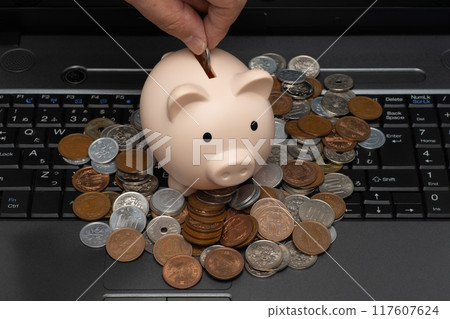 Laptop, piggy bank and savings in left hand 117607624