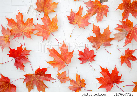 Red Maple Leaves on White Background Celebrating Autumn Foliage, AI-generated item 117607723
