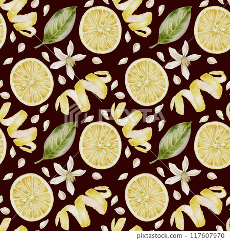 Lemons with leaves watercolor illustration 117607970