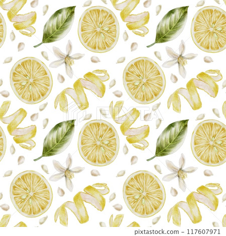 Lemons with leaves watercolor illustration 117607971