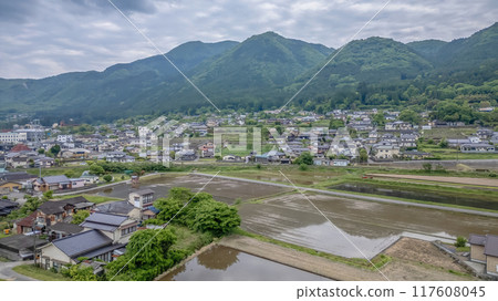 rice field from Yufuin town, Oita Prefecture, Kyushu, Japan May 15 2024 117608045