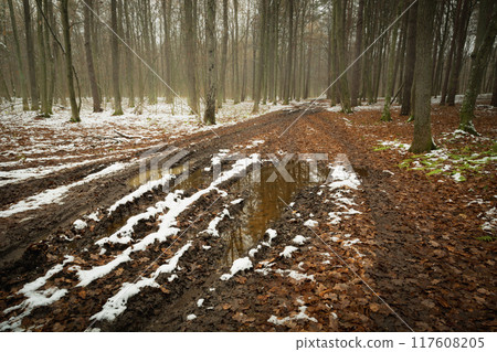 Wet dirt road with snow in woodland on an autumn day Wet dirt road with snow in woodland on an autumn day 117608205