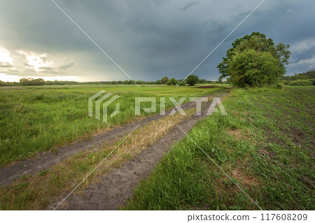 Dark storm clouds over a meadow with dirt road 117608209