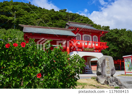 Hibiscus and Ryugu Shrine 117608415