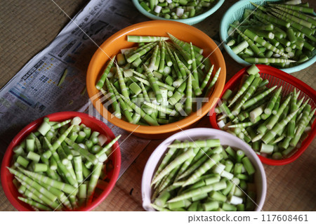 Peeled bamboo Peeled bamboo 117608461