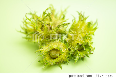 hazelnut on green background hazelnut on green background 117608530