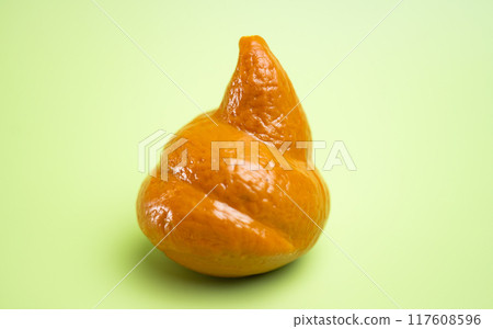 poop on green background 117608596