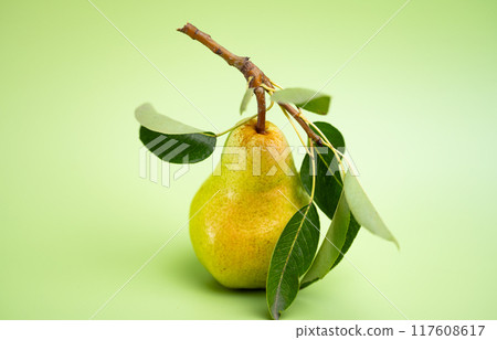 green pear green pear 117608617
