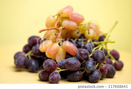 bunches of grapes 117608641