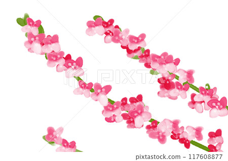 水引花卡2 水引花卡2 117608877