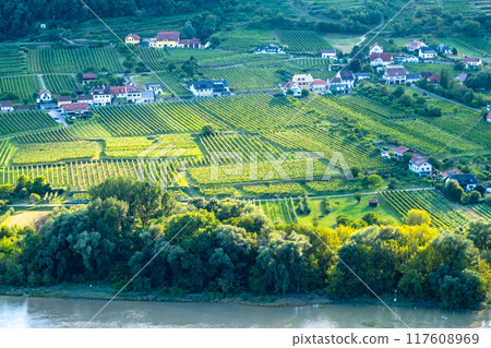 Vineyards and Donau river in Wachau valley Austria with autumn colored leaves small traditional village on sunny day. Traditional wine and tourism region, Vineyards and Donau river in Wachau valley Austria with autumn colored leaves small traditional village on sunny day. Traditional wine and tourism region, 117608969