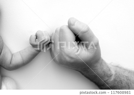 The newborn baby has a firm grip on the parent's finger after birth. Close-up little hand of child and palm of mother and father. Parenting, childcare and healthcare concept. Black and white photo.  117608981