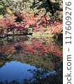 Beautiful autumn leaves in full bloom reflected in the mirror-like surface of a pond in a park 117609276