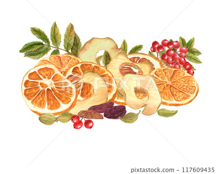 Dried fruit slices, Raisin, red berries, cardamoms and rowan leaves pile watercolor illustration. Natural sweeet apple chips, Orange wedges healthy food. Ingredients for autumn desserts, drinks Dried fruit slices, Raisin, red berries, cardamoms and rowan leaves pile watercolor illustration. Natural sweeet apple chips, Orange wedges healthy food. Ingredients for autumn desserts, drinks 117609435