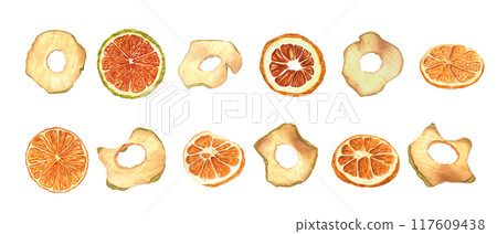 Apple chips and Orange slices watercolor illustration clip art. Dried natural organic sweeet snacks healthy vegan food set. Ingredient for culinary, desserts and Xmas drink decor. New Year concept 117609438