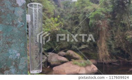 A rainfall collection device placed in a dense jungle background 117609924