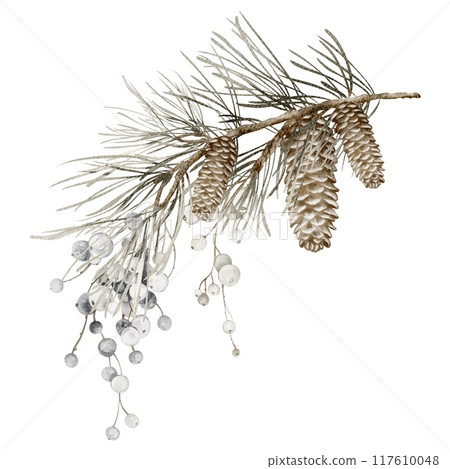 Watercolor Christmas spruce branch with berries and cones. Xmas bouquet isolated on white background. Snowy pine branches, pinecone. Winter holiday decoration hand-drawn for design cards, invitation. Watercolor Christmas spruce branch with berries and cones. Xmas bouquet isolated on white background. Snowy pine branches, pinecone. Winter holiday decoration hand-drawn for design cards, invitation. 117610048